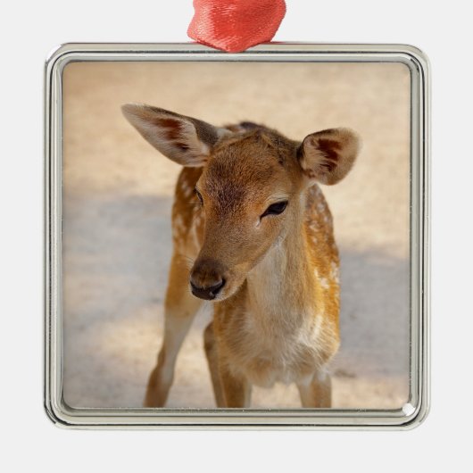 Baby Deer Ornament Aus Metall (Vorne)
