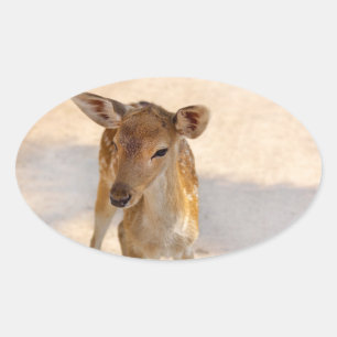Baby Deer Ovaler Aufkleber