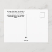 Baby Deer Postcard Postkarte (Rückseite)