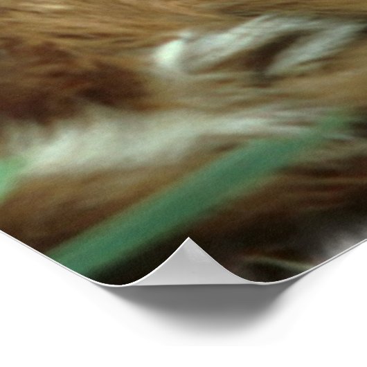 Baby Deer Poster (Ecke)