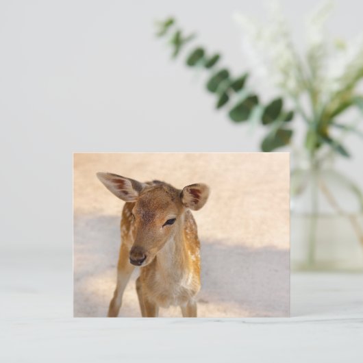 Baby Deer Postkarte (Stehend Vorderseite)
