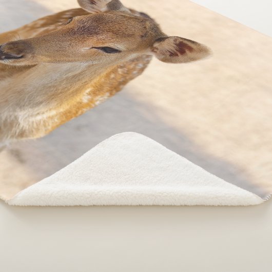 Baby Deer Sherpadecke (3/4)