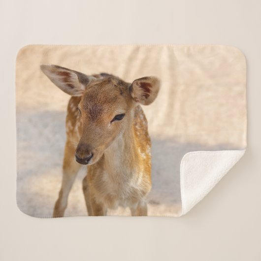Baby Deer Sherpadecke (Vorderseite (Horizontal))