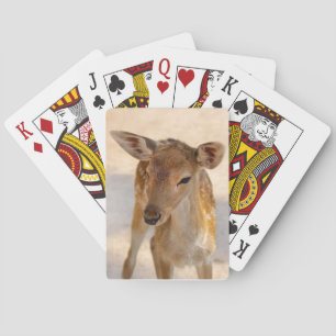 Baby Deer Spielkarten