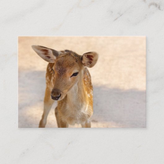 Baby Deer Terminkarte (Vorderseite)