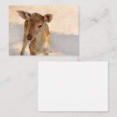 Baby Deer Terminkarte (Vorne/Hinten)