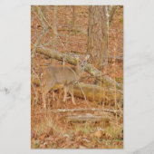 Baby Deer's Erster Winter Briefpapier (Vorderseite)