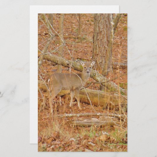 Baby Deer's Erster Winter Briefpapier (Vorne/Hinten)