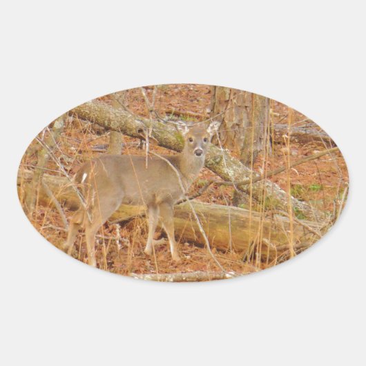 Baby Deer's Erster Winter Ovaler Aufkleber (Vorderseite)