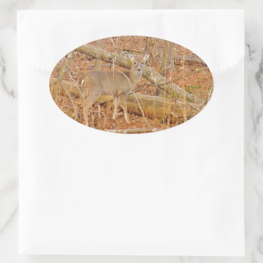 Baby Deer's Erster Winter Ovaler Aufkleber (Tasche)