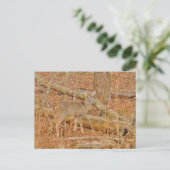 Baby Deer's Erster Winter Postkarte (Stehend Vorderseite)