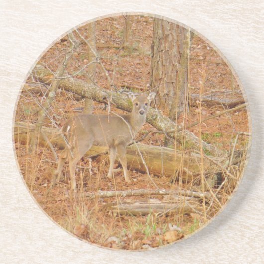Baby Deer's Erster Winter Sandstein Untersetzer (Vorne)