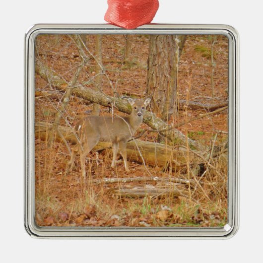 Baby Deer's Erster Winter Silbernes Ornament (Vorne)