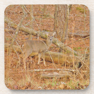 Baby Deer's Erster Winter Untersetzer