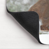 Baby Dei im Wintercoat Mousepad (Ecke)