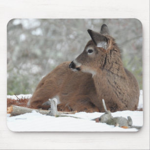 Baby Dei im Wintercoat Mousepad