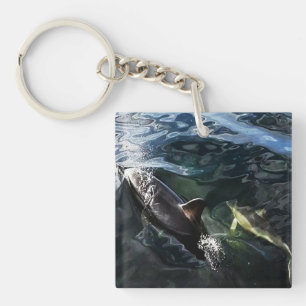Baby-Delfin mit Mutter Ozean Natur Geschenk Schlüsselanhänger