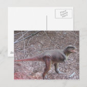 Baby-Dinosaurier Postkarte (Vorne/Hinten)