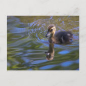 Baby Donald Postkarte (Vorderseite)