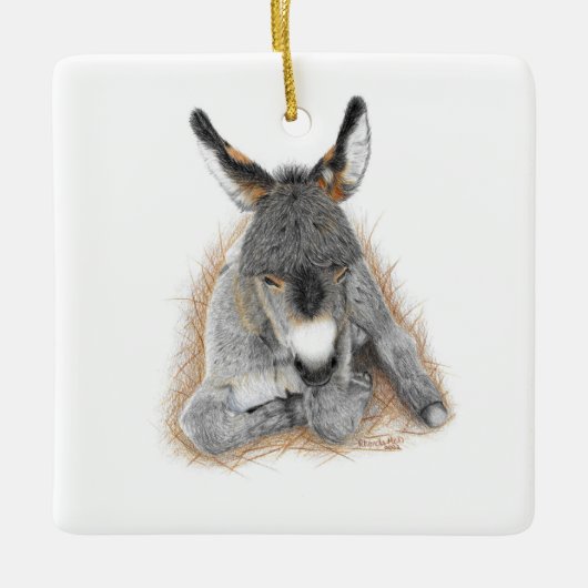 Baby Donkey Square Ornament (Vorderseite)