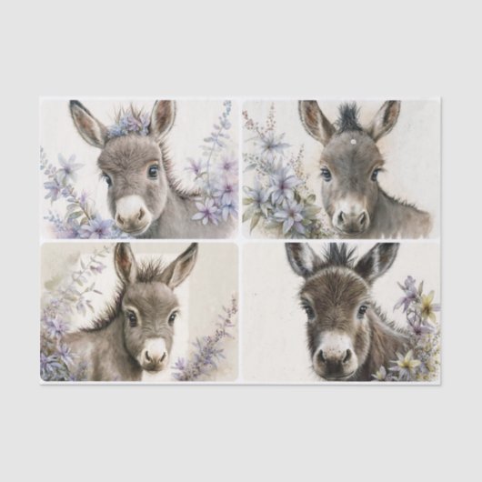 Baby Donkeys Seidenpapier (Vorderseite)