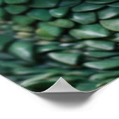 Baby Dragon Fantasy Art Poster (Ecke)