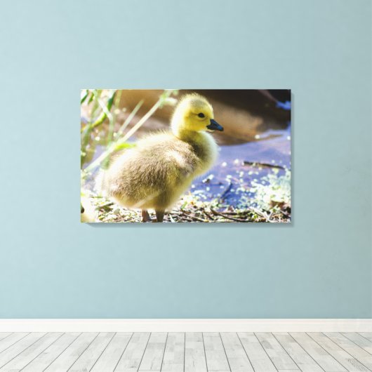 Baby Duck Leinwanddruck (Insitu (Holzboden))