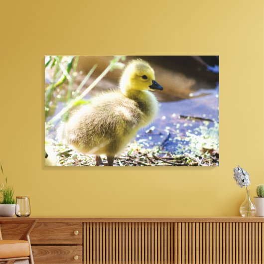 Baby Duck Leinwanddruck (Insitu (Wohnzimmer))