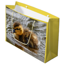 Baby Duckling Paddles im lokalen Teich Große Geschenktüte