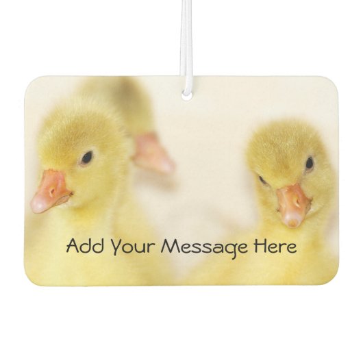 Baby Ducks Autolufterfrischer (Vorderseite)