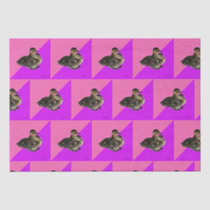 Baby Ducks on Pink Raspberry and Purple Sorbet Seidenpapier