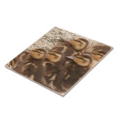 Baby duckt Entlein-Stockenten-Vogel-Tier-Fliese Fliese (Seite)