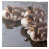 Baby duckt Entlein-Stockenten-Vogel-Tier-Fliese Fliese (Vorderseite)