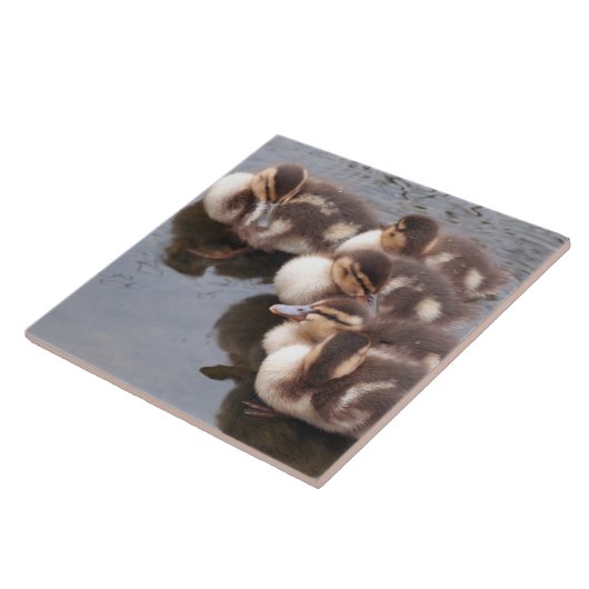 Baby duckt Entlein-Stockenten-Vogel-Tier-Fliese Fliese (Seite)