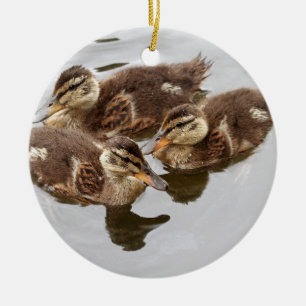 Baby duckt Foto Keramikornament