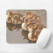 Baby duckt Vogel-wild lebende Tiere Mousepad (Mit Mouse)
