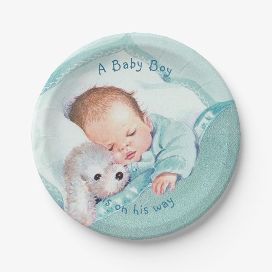 Baby Dusche Blue Blanket Tog Dog Pappteller (Vorderseite)