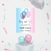 Baby Duschjunge Mädchen Blue Pink Begrüßung Poster