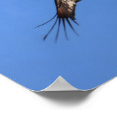 Baby eagle! poster (Ecke)