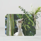 Baby Egrets Einladung (Stehend Vorderseite)
