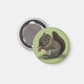 Baby-Eichhörnchen Magnet (Vorderseite/Rückseite)