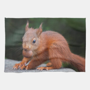 Baby Eichhörnchen mit Nuss Küchenhandtuch Küchentuch