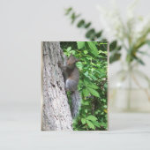 "Baby Eichhörnchen" Postkarte (Stehend Vorderseite)