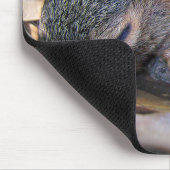 Baby Eichhörnchen Schlafen Mousepad (Ecke)