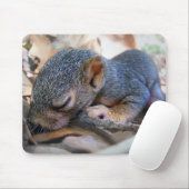 Baby Eichhörnchen Schlafen Mousepad (Mit Mouse)