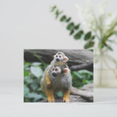 Baby Eichhörnchenaffen Postcard Postkarte (Stehend Vorderseite)