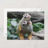 Baby Eichhörnchenaffen Postcard Postkarte (Vorne/Hinten)