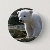 Baby-Eisbär-Knopf Button (Vorderseite)