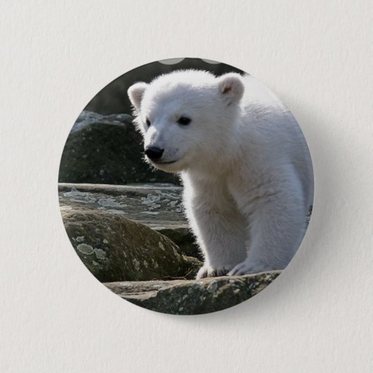 Baby-Eisbär-Knopf Button (Vorderseite)
