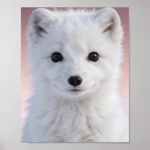 Baby-Eisfuchs-Nursery-Wandkunst-Druck Poster